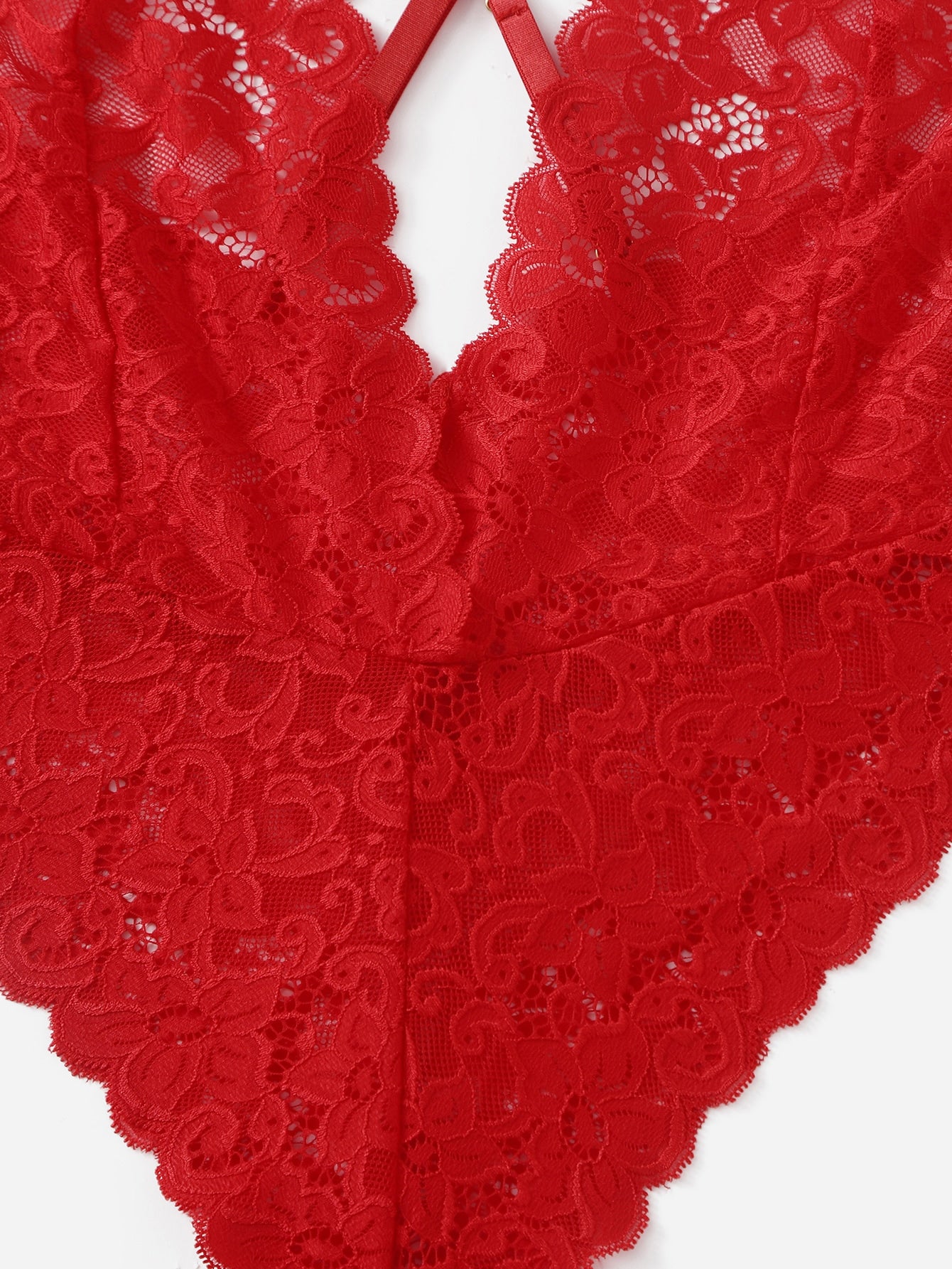 Sheer Lace Bodysuit with Plunging V & Backless - Enticing Women's Lingerie