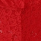 Sheer Lace Bodysuit with Plunging V & Backless - Enticing Women's Lingerie